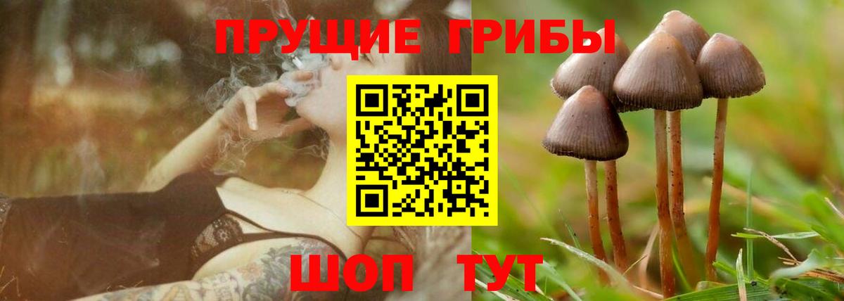 Псилоцибиновые грибы Psilocybine cubensis  Галлюциногенные грибы GOLDEN TEACHER  Воронеж  Вход с VPN 
